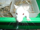 DSCF0753.JPG