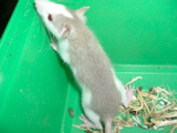 DSCF0756.JPG