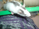 DSCF0762.JPG