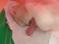 DSCF1942.JPG