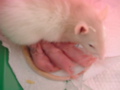 DSCF1945.JPG