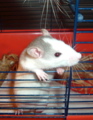 DSCF1062