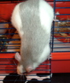 DSCF1063