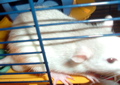 DSCF1064