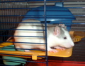 DSCF1045