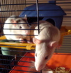 DSCF1047