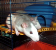 DSCF1051