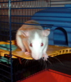 DSCF1057