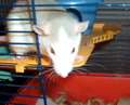 DSCF1059
